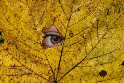 Life sometimes seems to require a mask from us. Underneath the mask or the surface - what is going on? 