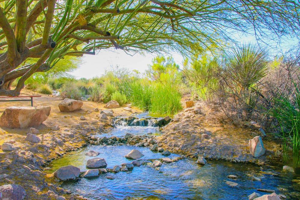Capture Gilbert’s Best Views – Top Scenic Spots for Photography in Gilbert