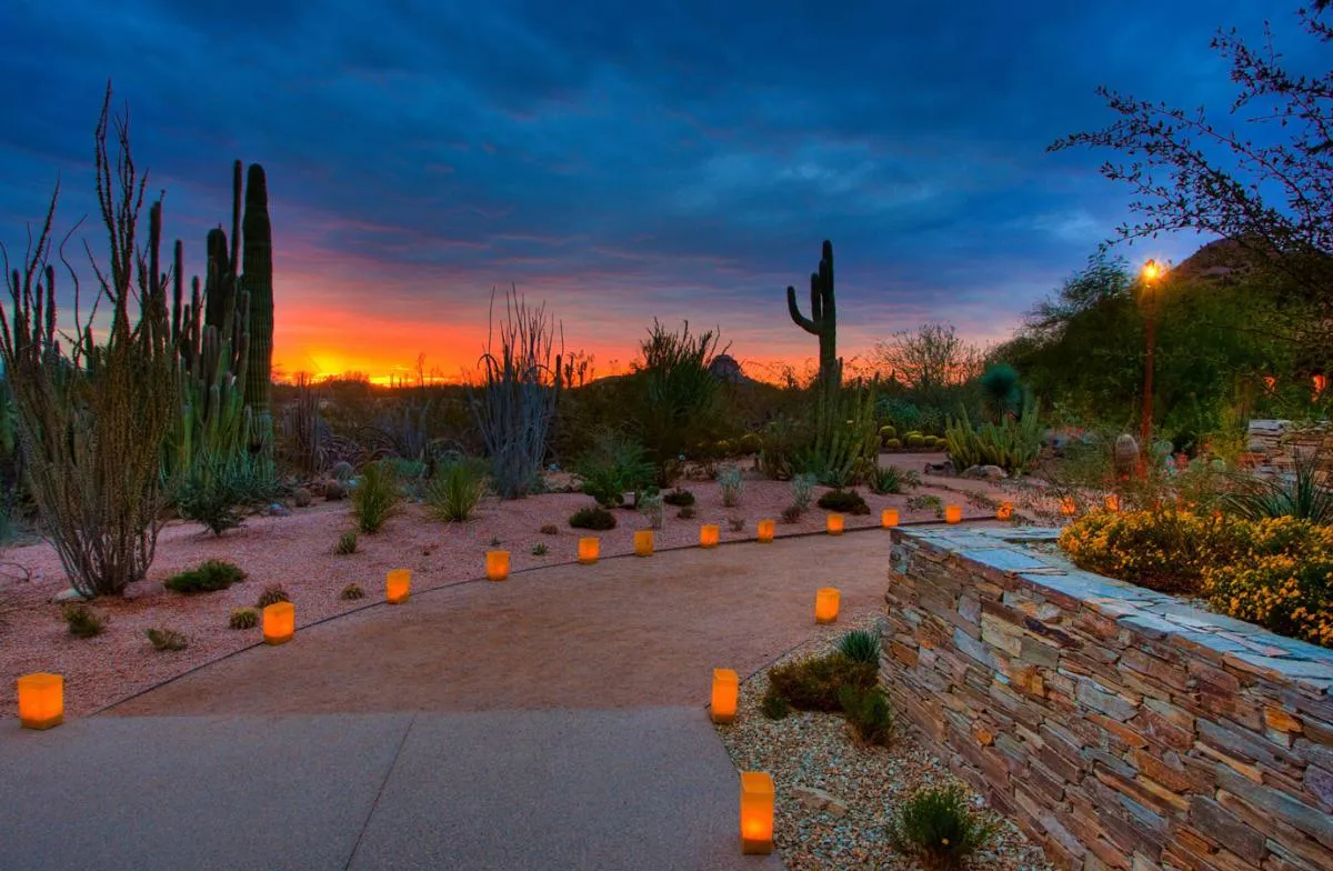 Where the Desert Comes Alive — Explore the Magic of Desert Botanical Garden Near Gilbert