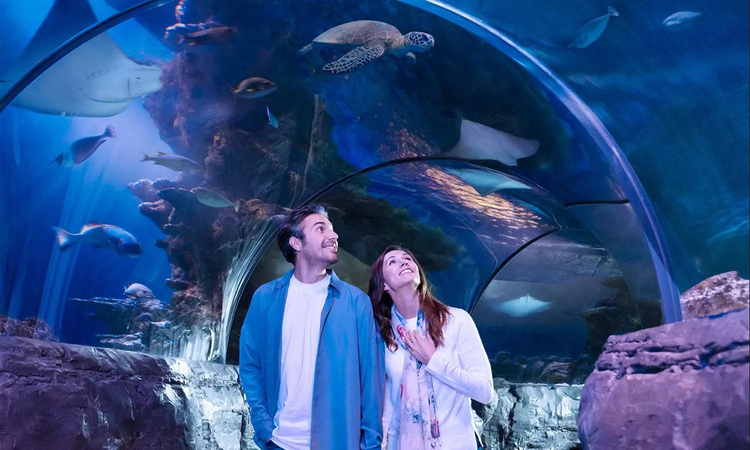 Dive Into the Deep Blue in the Desert: Why SEA LIFE Arizona Aquarium Is a Must-See Near Gilbert