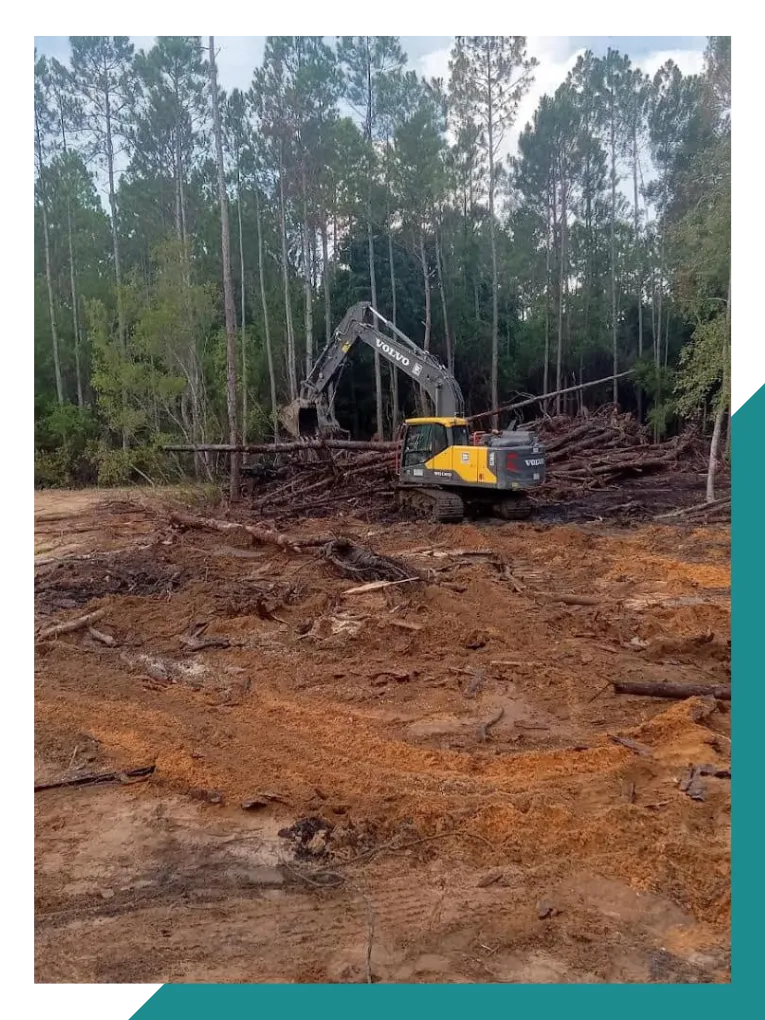 land clearing in florida panhandle