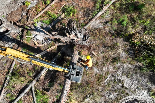 Land Clearing in Florida