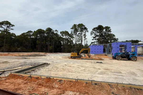 Land Clearing Regulations in Florida Explained
