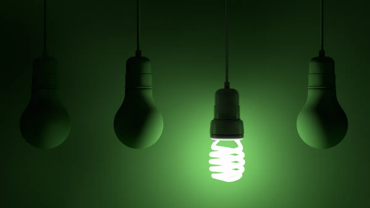 Energy efficient lighting solutions Fife WA