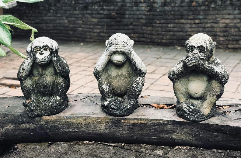 What's Your Blind Spot?