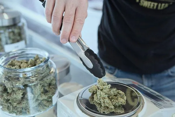 Synthetic cannabinoids in Australia: an update