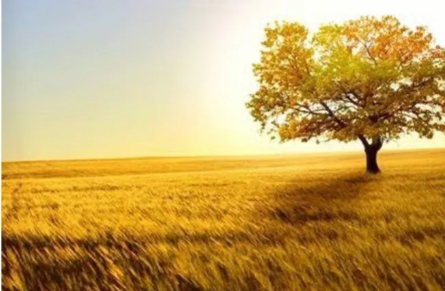 Midlife - Unlearn Old Patterns
