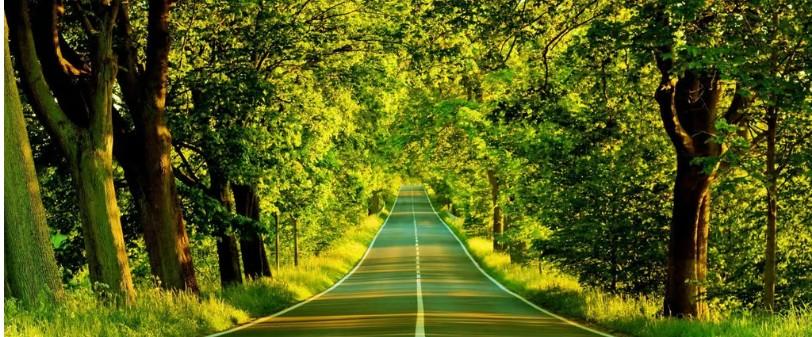 Midlife - Reinventing Yourself