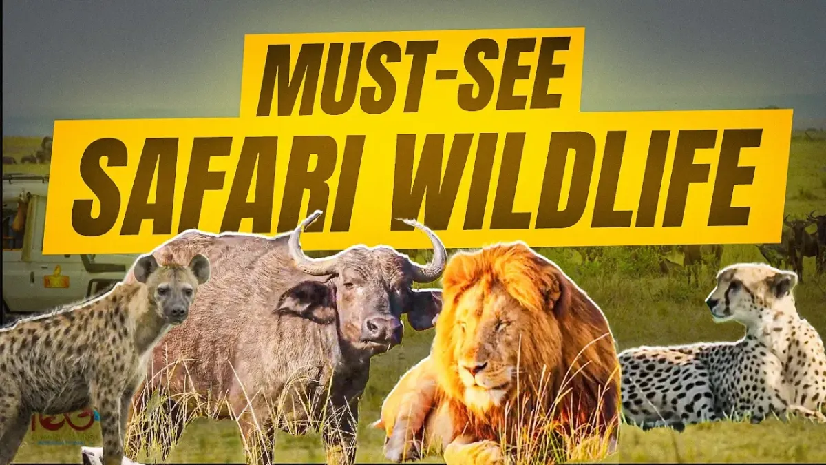 10 Most Iconic Animals You’ll See on a Kenyan Safari