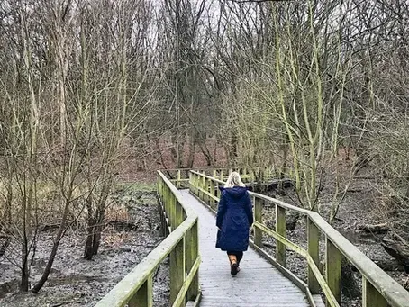 Lessons From The Forest