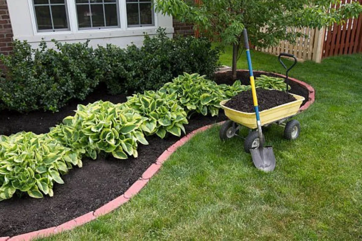 Why Mulching in Fall is Essential: Protect, Conserve, and Enhance Your Garden