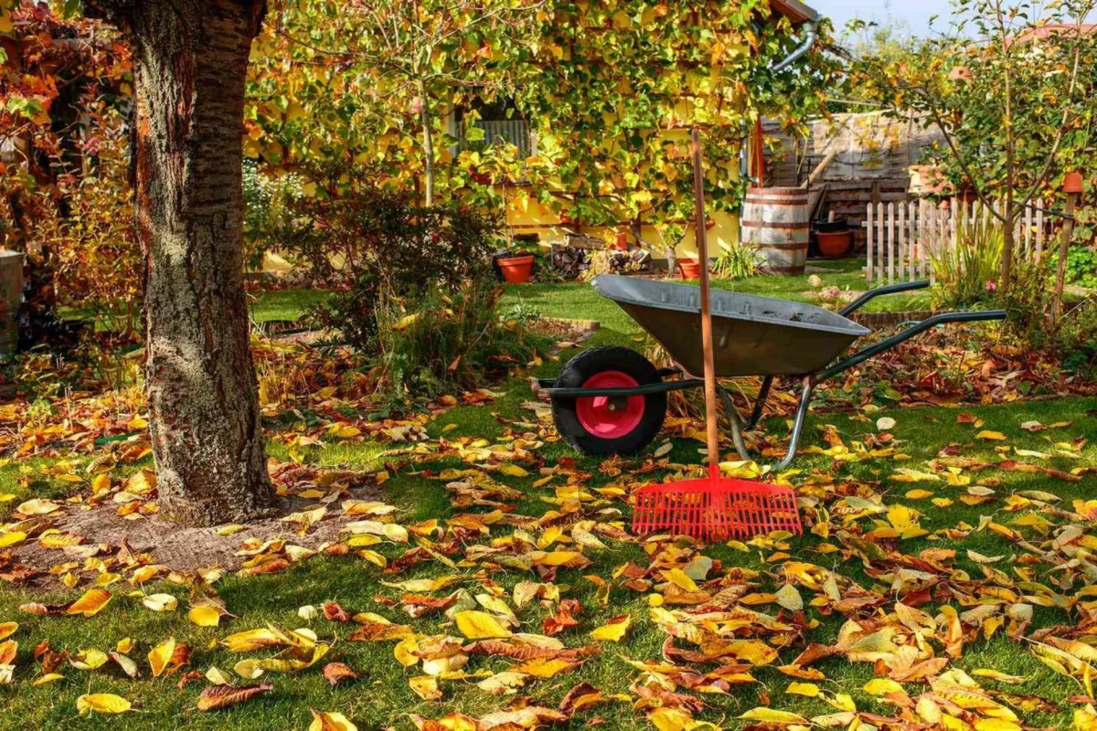 Avoid These 5 Mistakes for a Healthier Fall Landscape