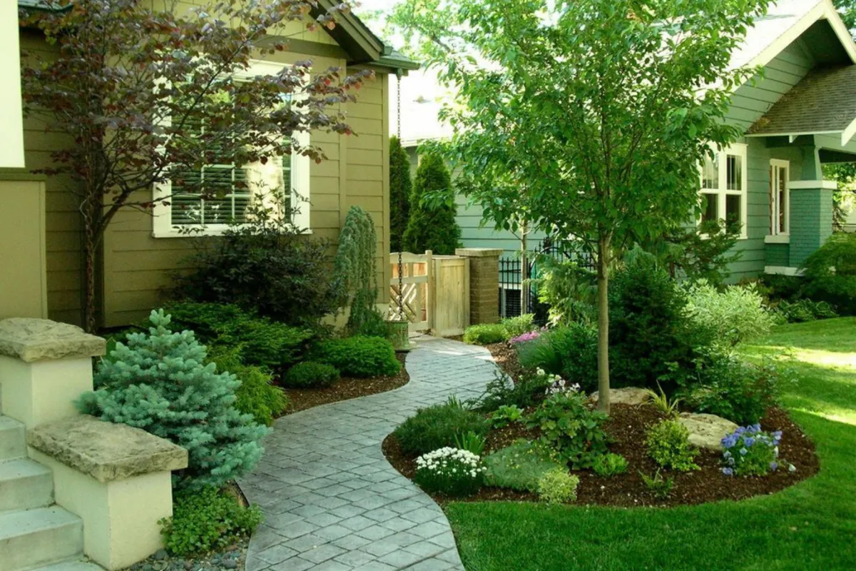 Why Hiring a Professional Landscaper is Worth the Investment