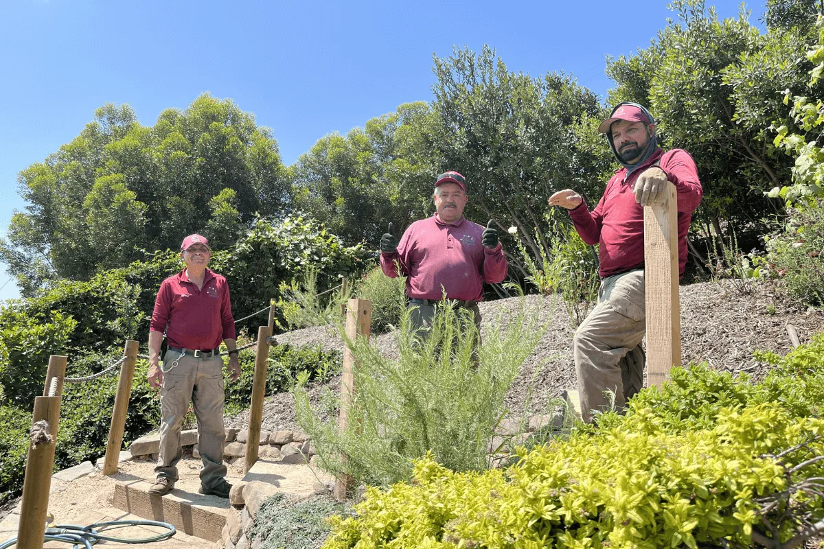 Why Hiring a Professional Landscaper is Worth the Investment