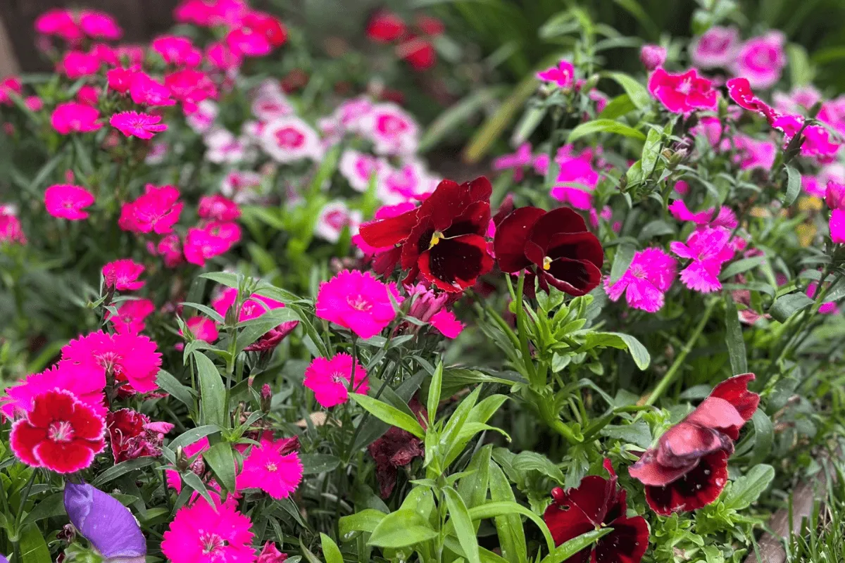 Planting Tips For A Vibrant Spring Garden