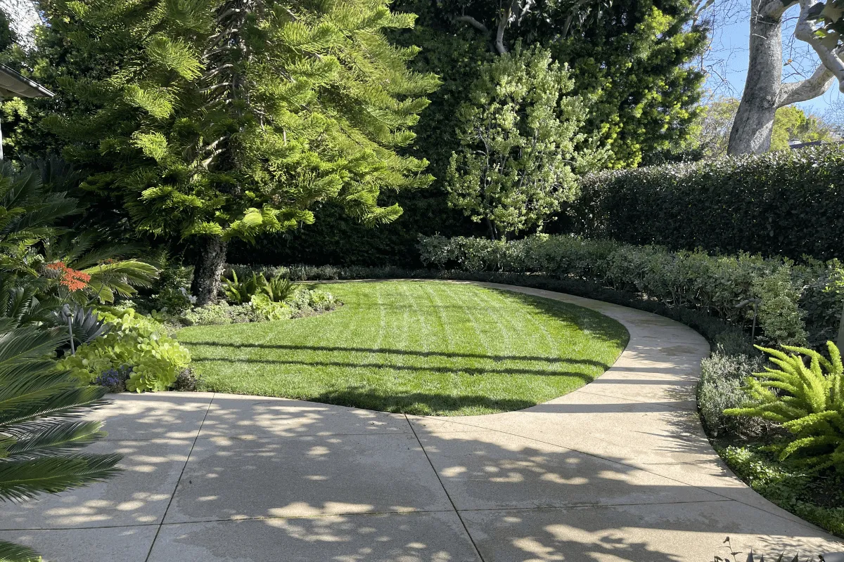 Why Fall Fertilization is Essential