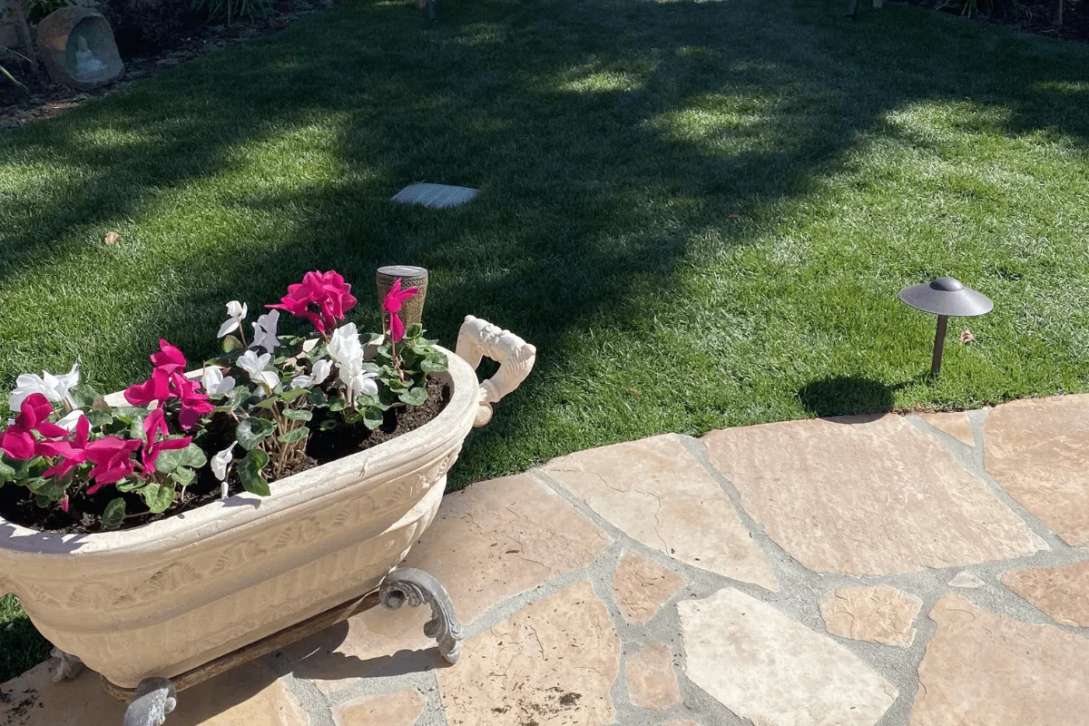 Festive Winter Containers