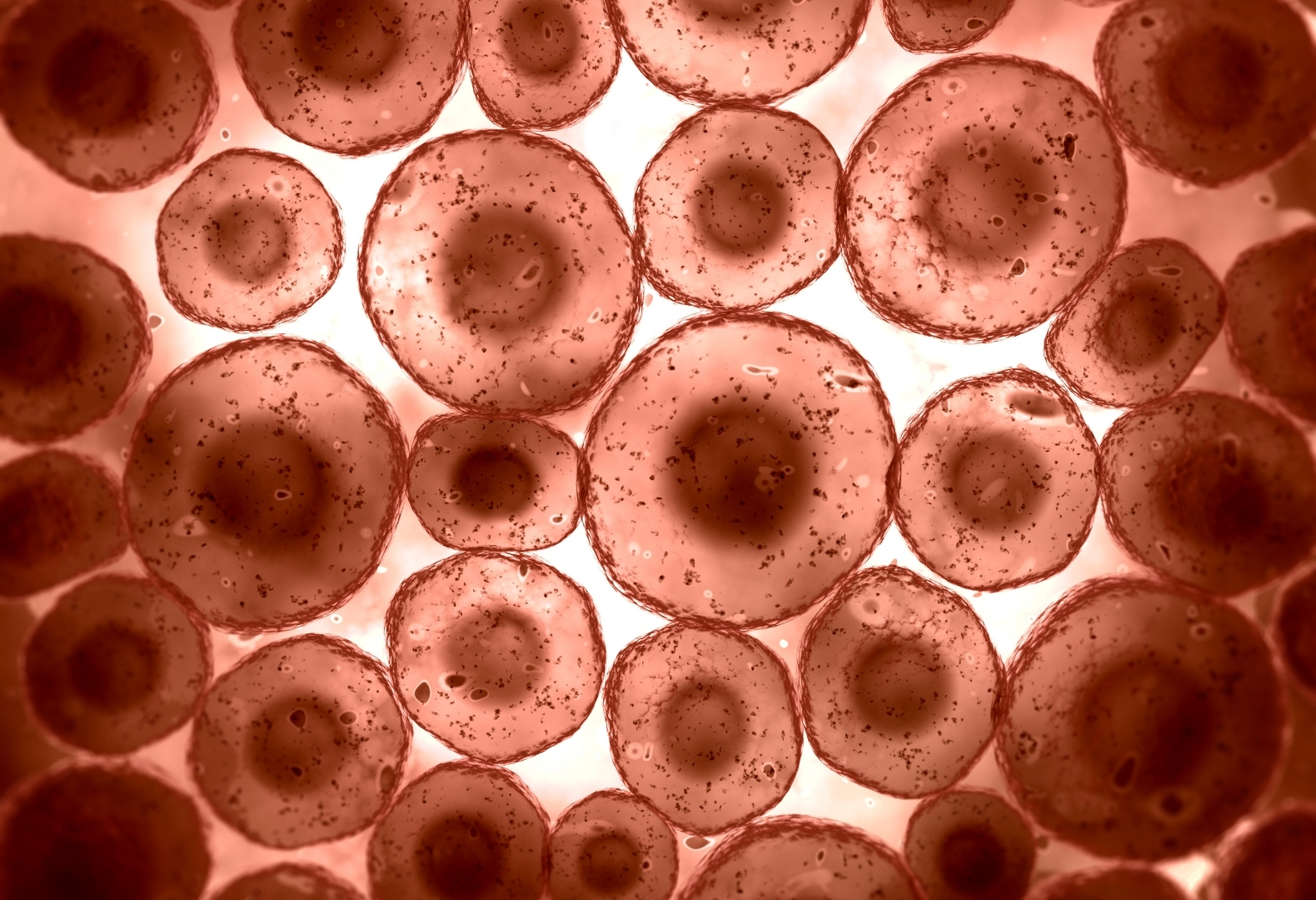 Does Chronic Pain Have More to Do With Cells Than Joints?