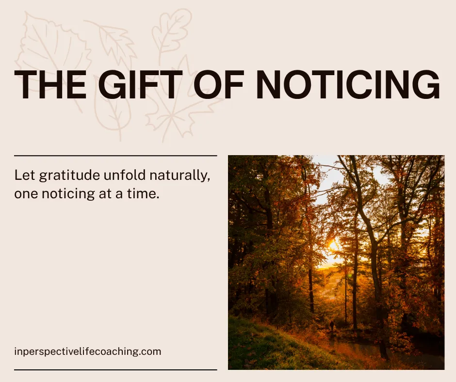 🌾 The Quiet Gift of Noticing: Finding Gratitude in Small Moments