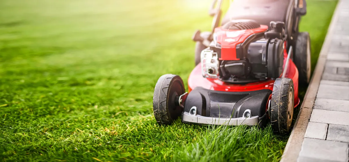 Creative and easy lawn care tips created for you.