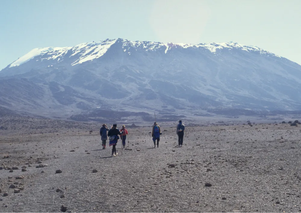 kilimanjaro snow