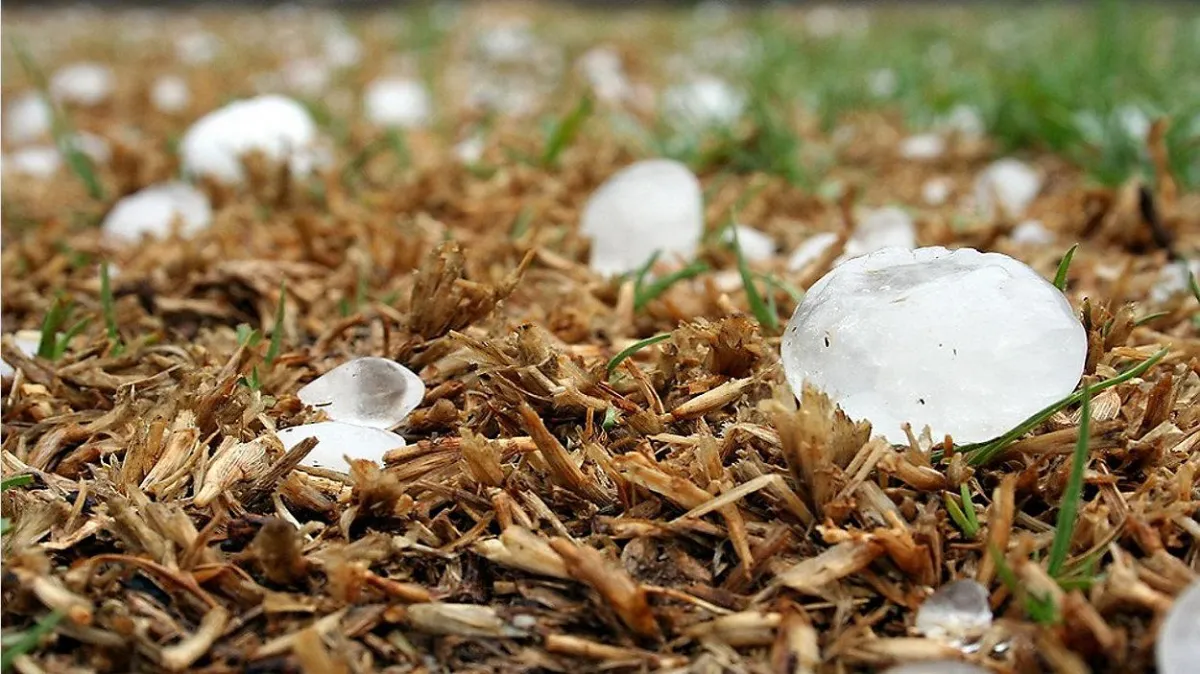 Hail-Damage Checklist for West-GA Roofs