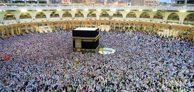 نصائح و تعليمات لمرضي الكلي قبل أداء الحج