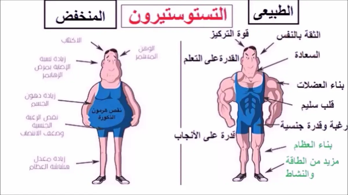 نقص هرمون الذكورة مؤشر على خطر الإصابة بالأمراض المزمنة - الدكتور صالح بن صالح