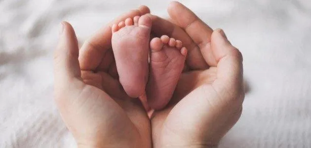 الملوثات المنزلية تؤثر على الصحة الإنجابية - الدكتور صالح بن صالح