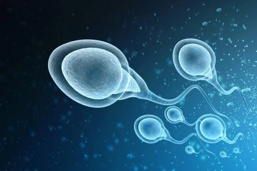 ضعف الحيامن مؤشر على اعتلالات صحية أخرى - الدكتور صالح بن صالح