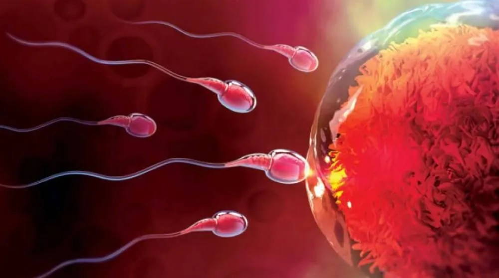 ضعف الخصوبة قد يترافق مع حالات مرضية أخرى - الدكتور صالح بن صالح