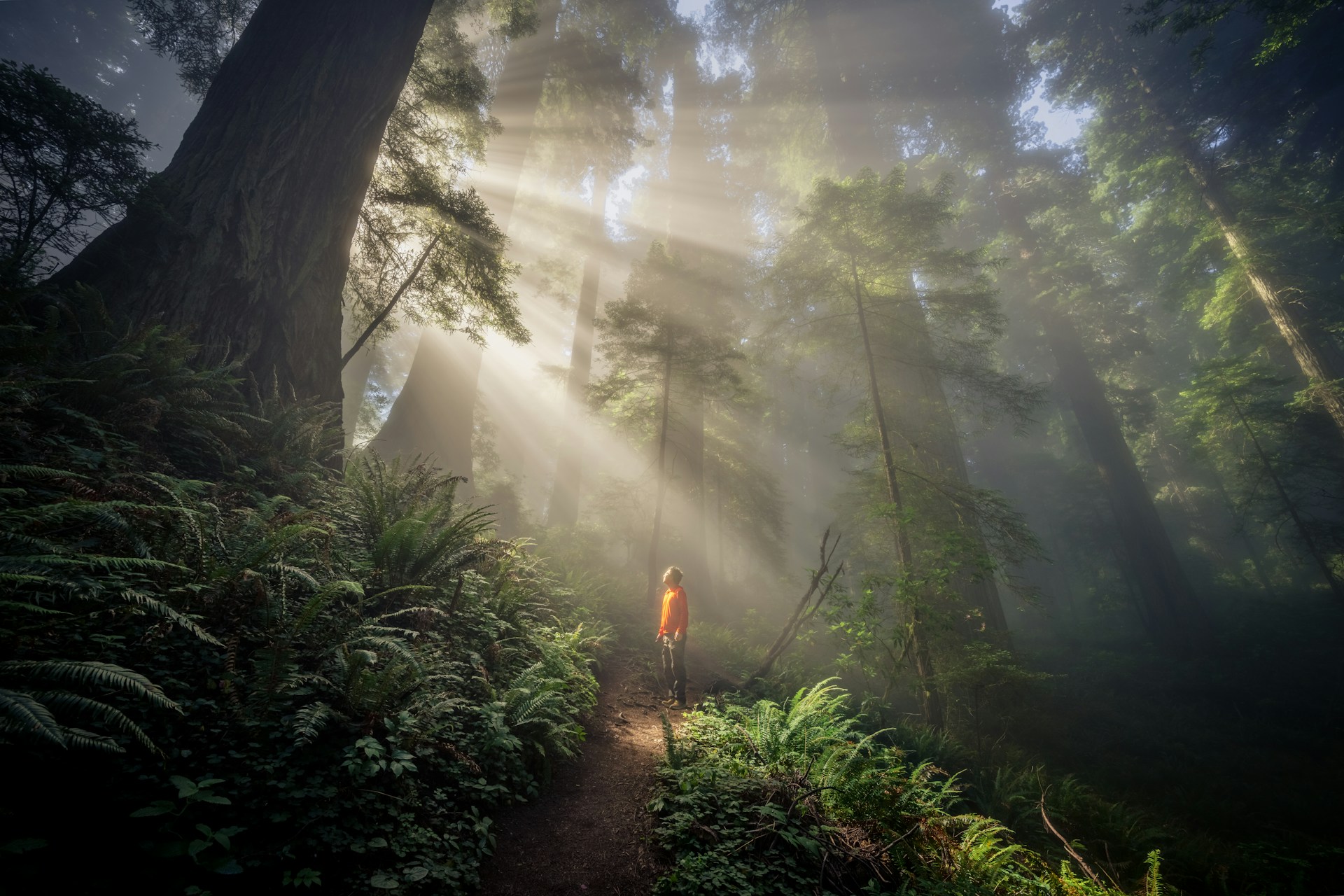 Quién creí ser y quién soy: cómo encontrar tu identidad más allá de lo que esperaban de ti