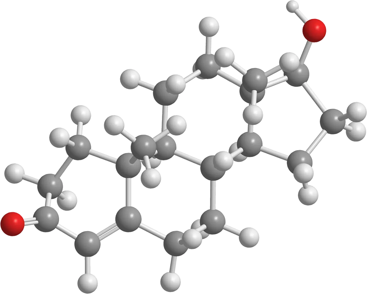Hormones blog  