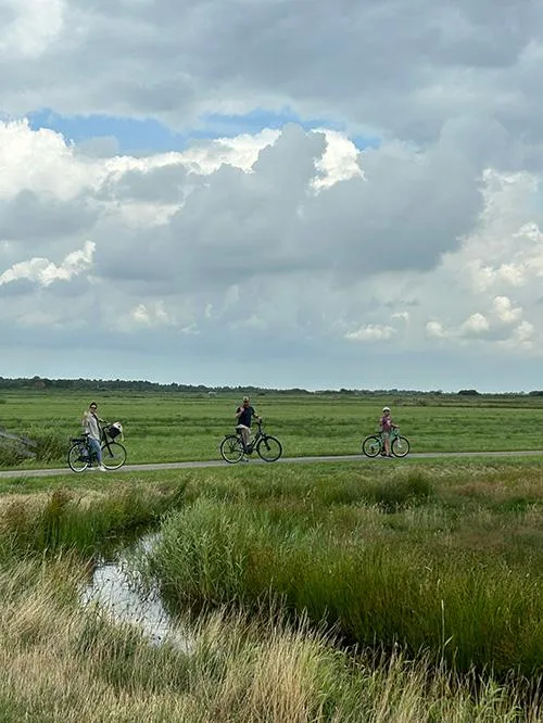 Family of three on bikes in South Germany