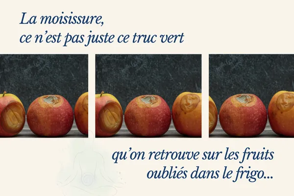moisissures alimentaires