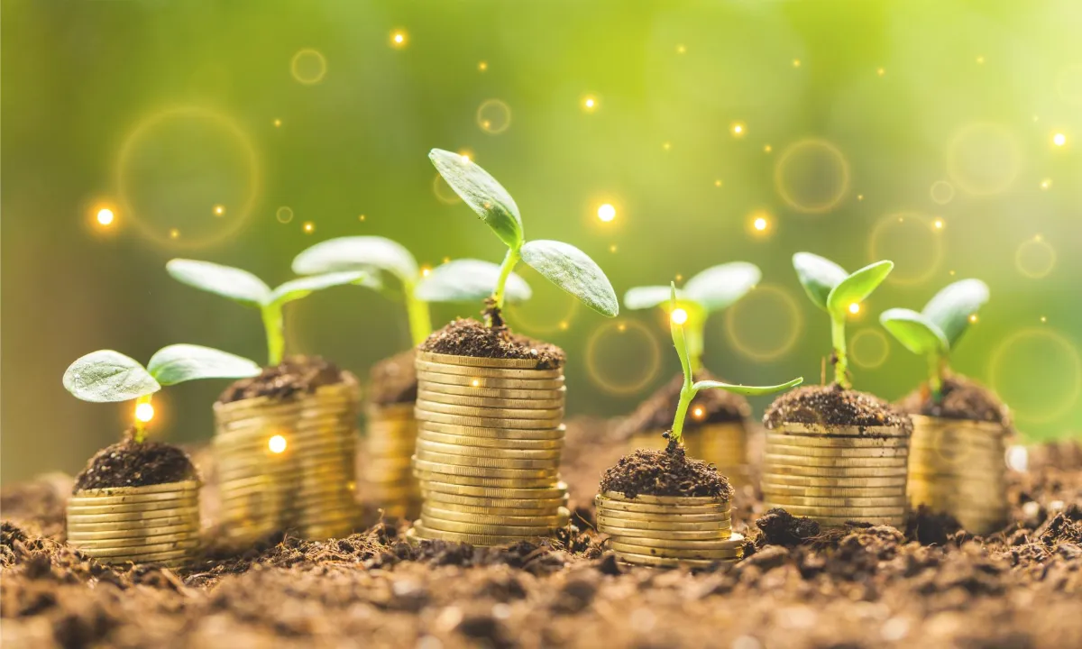 🌸 Wealthy Wednesday: Be an Abundance Detective 🌸