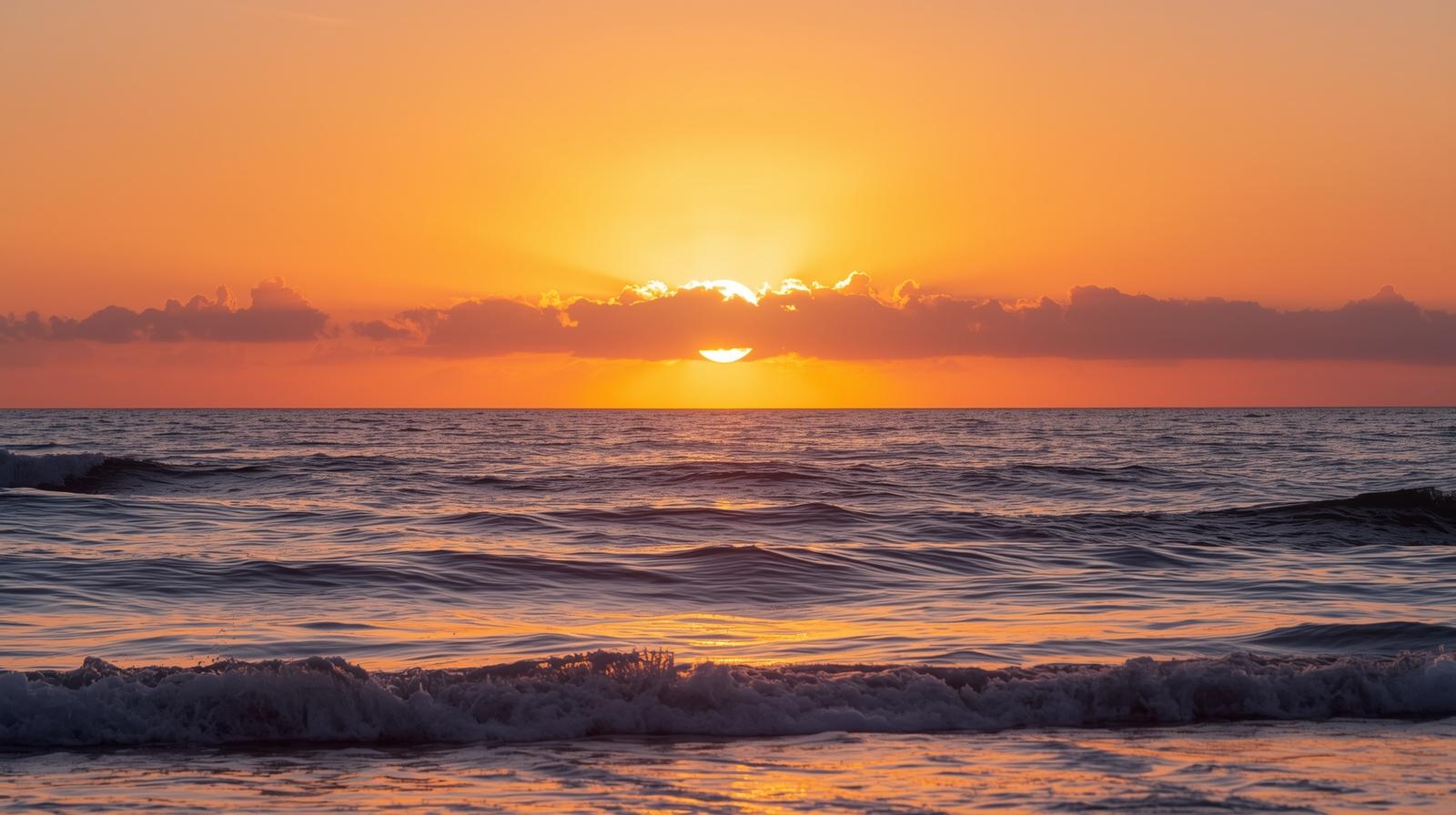 🌸 Wealthy Wednesday: Gratitude Comes Before Manifestation 🌸