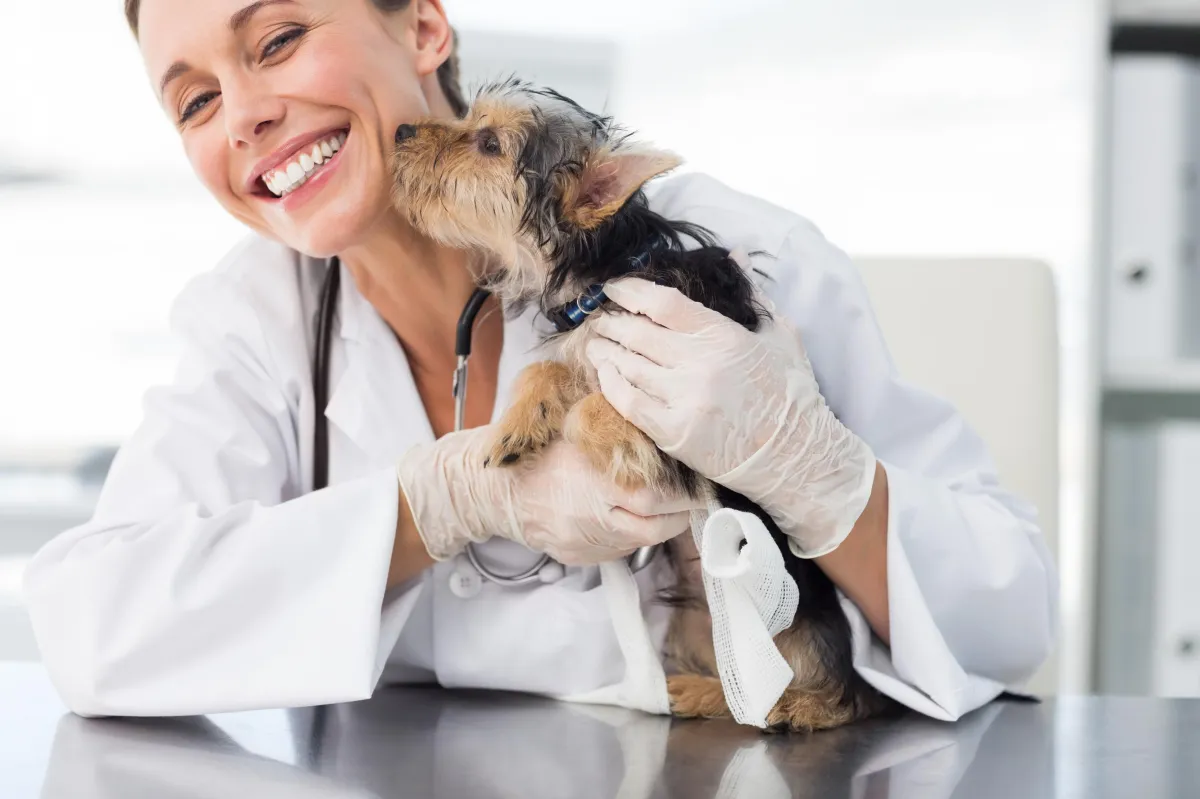 Veterinary Fractional CFO Services
