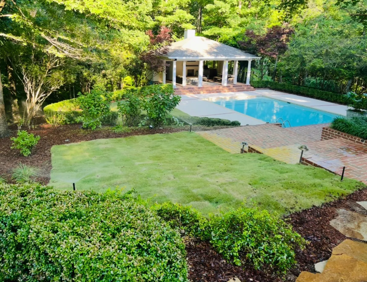 Well-maintained green lawn with trimmed hedges and trees landscaped by S & S Landscaping