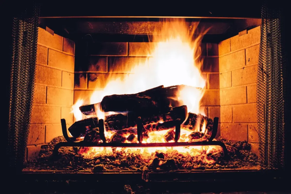 Seasoned Firewood for camping