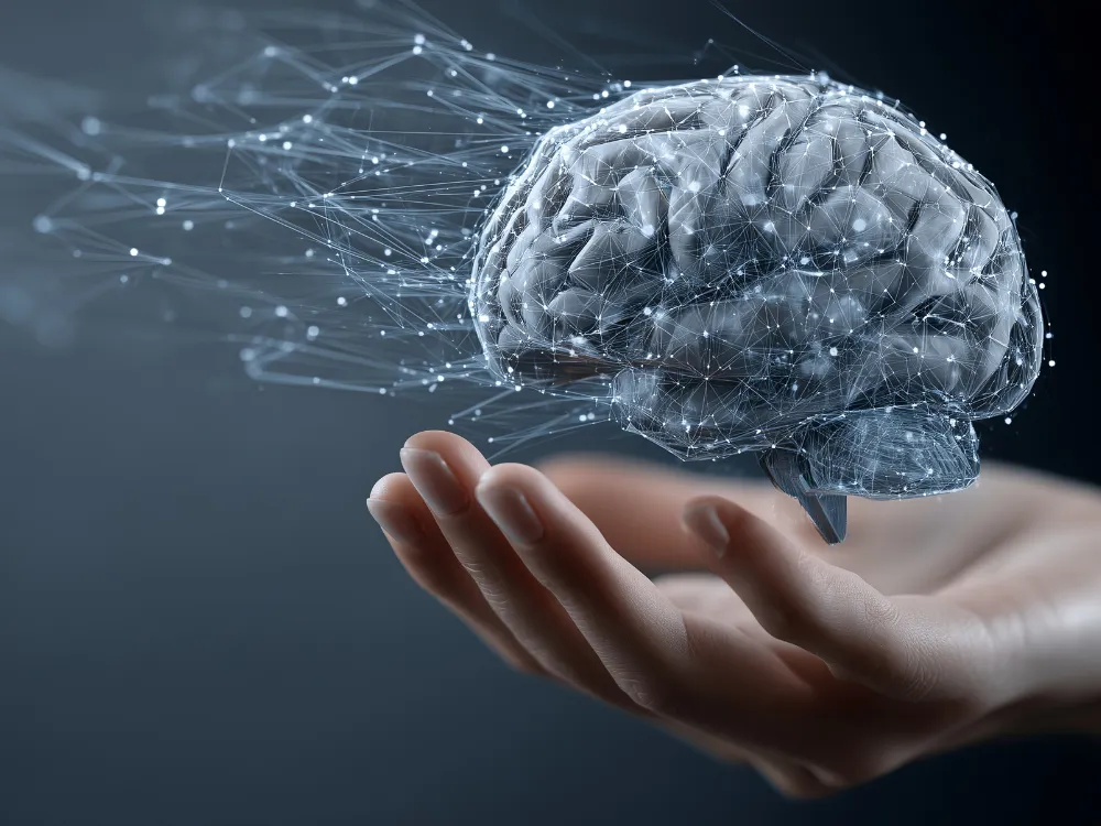 Understanding Gradual Brain Changes with Neurofeedback