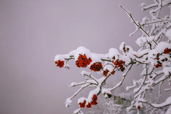 When Nutrition Feels Unsettled at the End of Winter