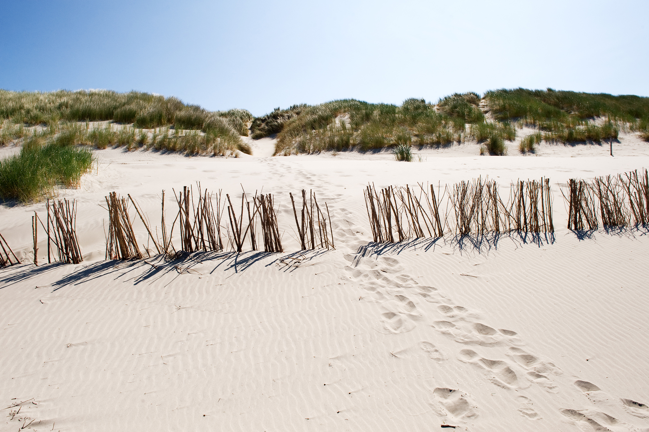 Bekijk Amelands geheim in shop