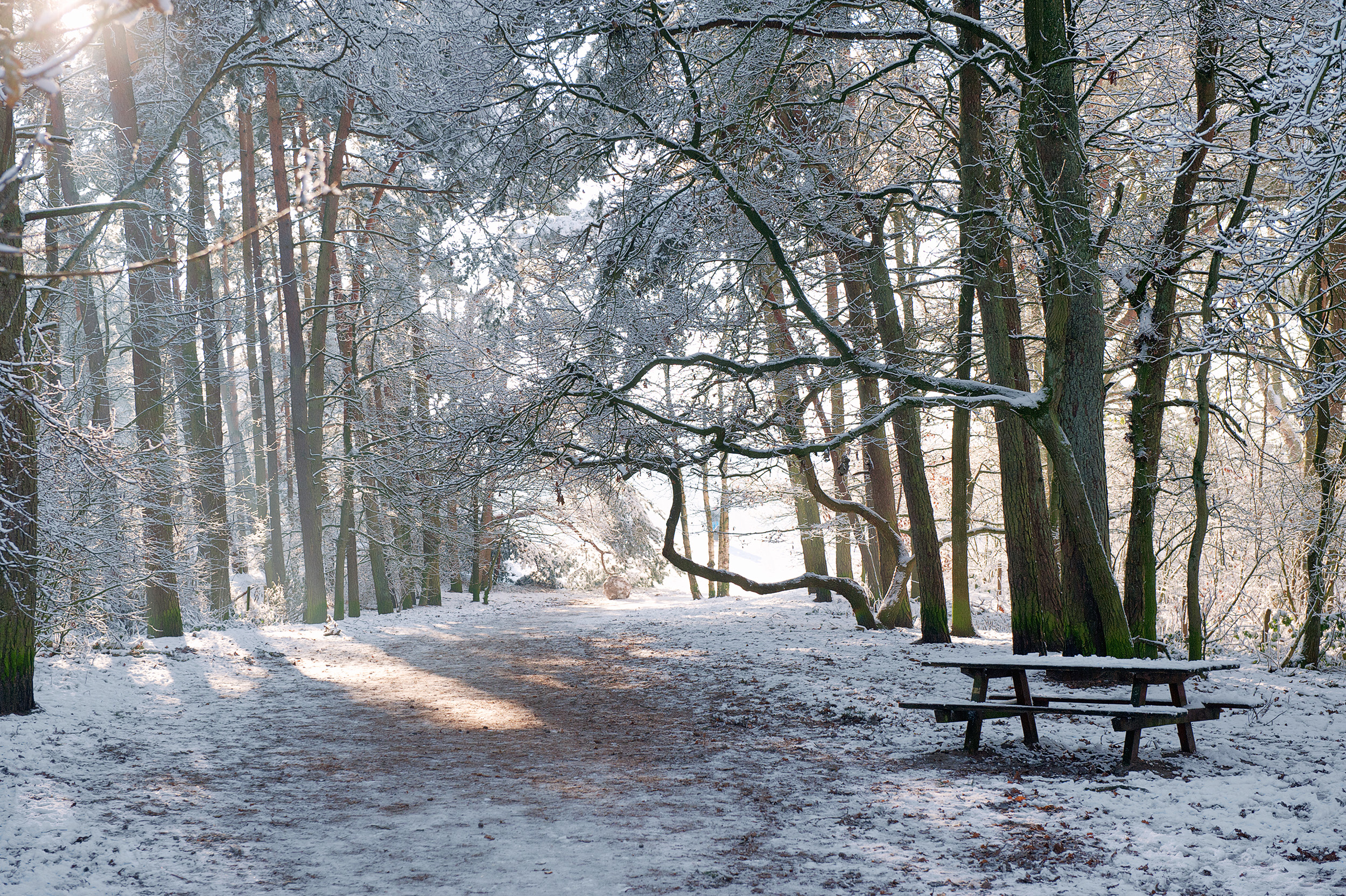 Bekijk Soestduinen in de sneeuw in shop