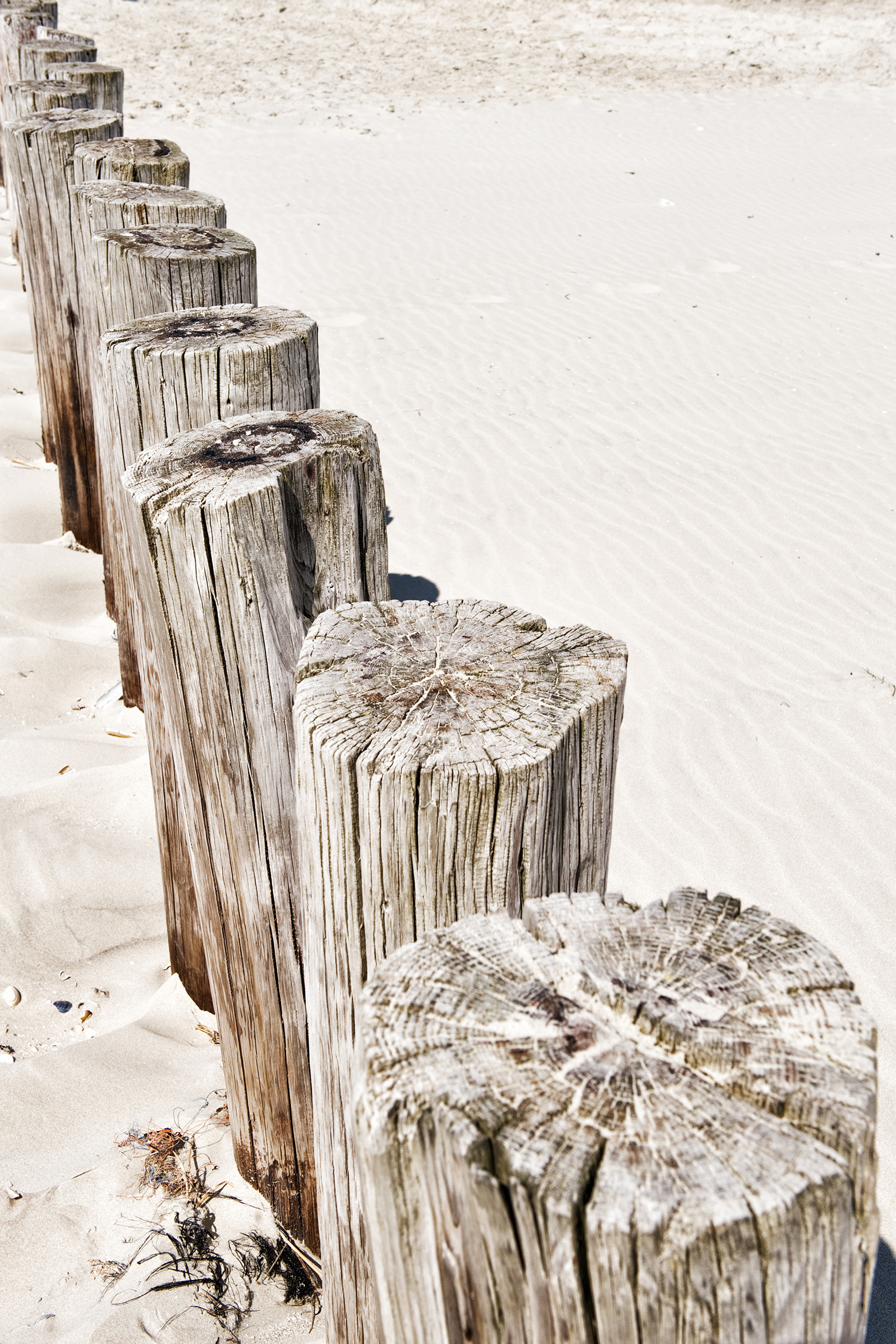 Bekijk Verweerde schoonheid in de shop