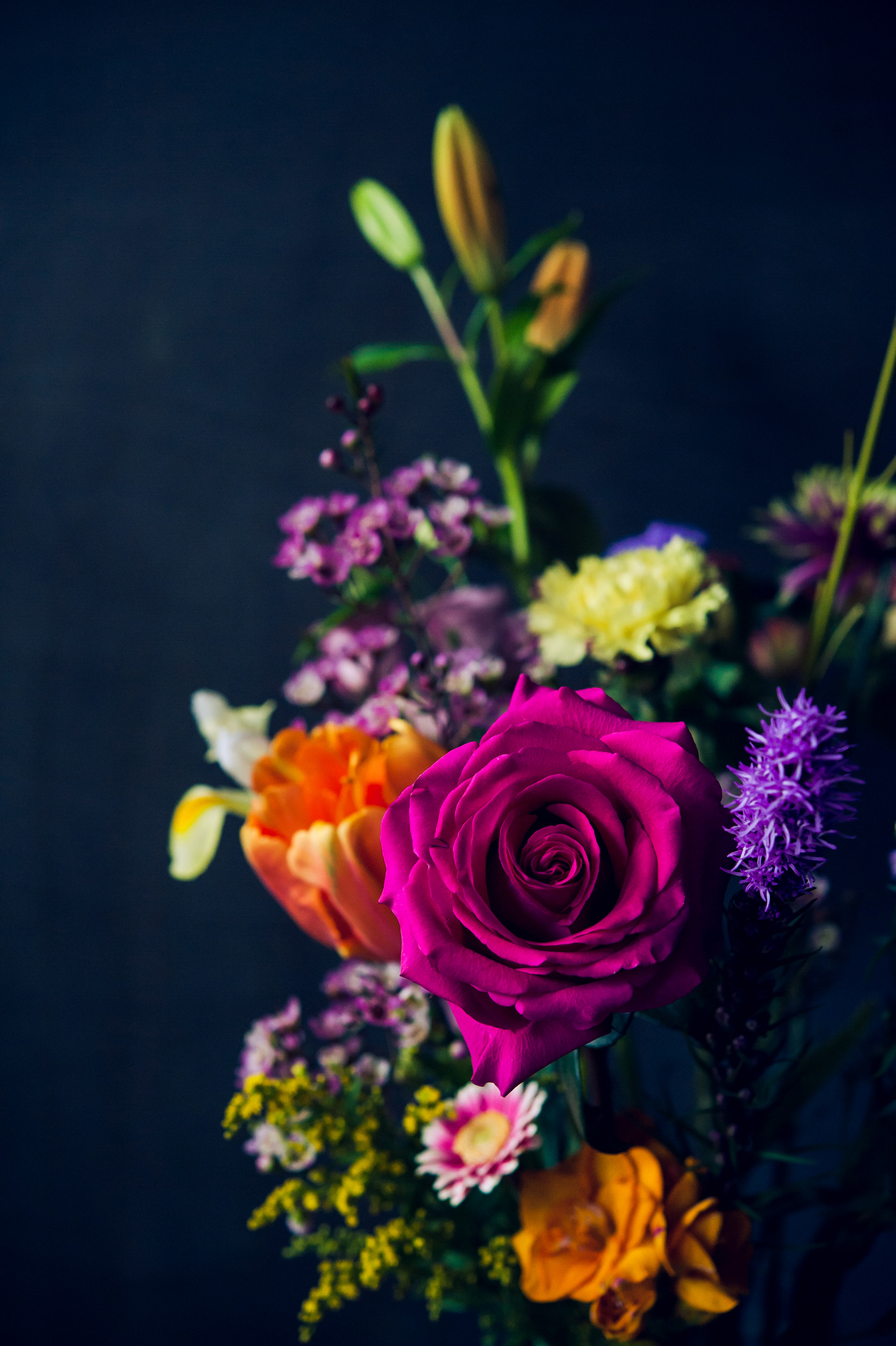 bekijk dit werk in de shop