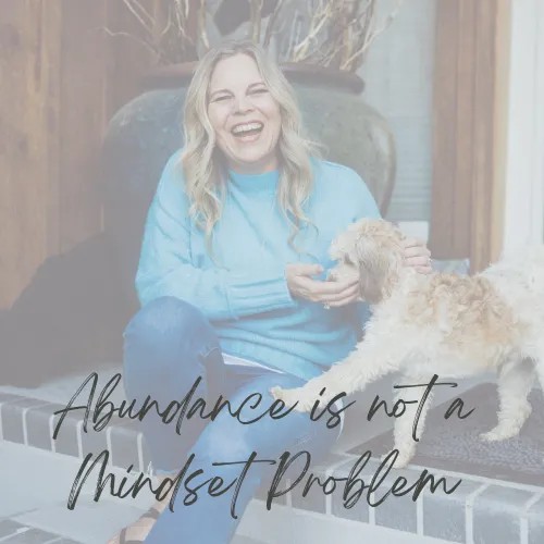 Abundance is Not a Mindset Problem