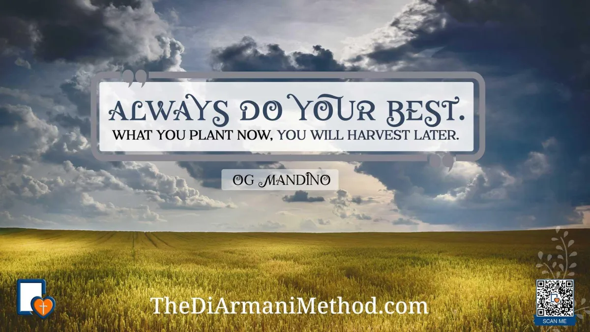 Planting Seeds of Success: The Link Between Your Efforts and Your Harvest