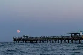 Florida Connects Lauderdale by the Sea 