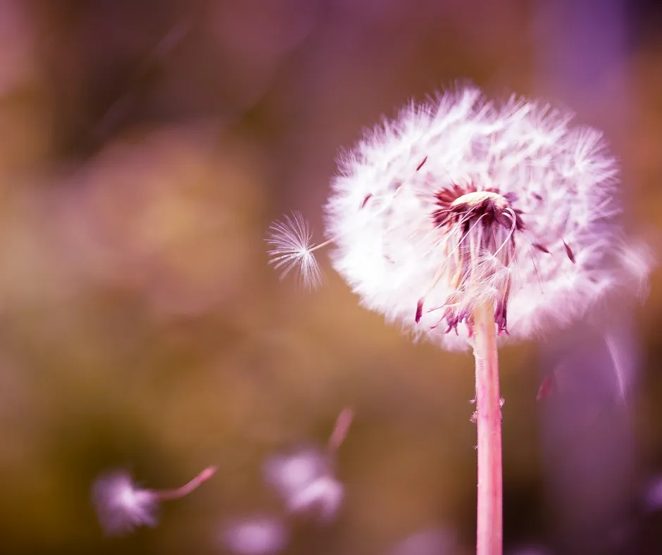let go and find freedom